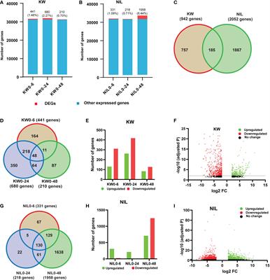 Comparative transcriptome-wide identification and differential expression of genes and lncRNAs in rice near-isogenic line (KW-Bph36-NIL) in response to BPH feeding